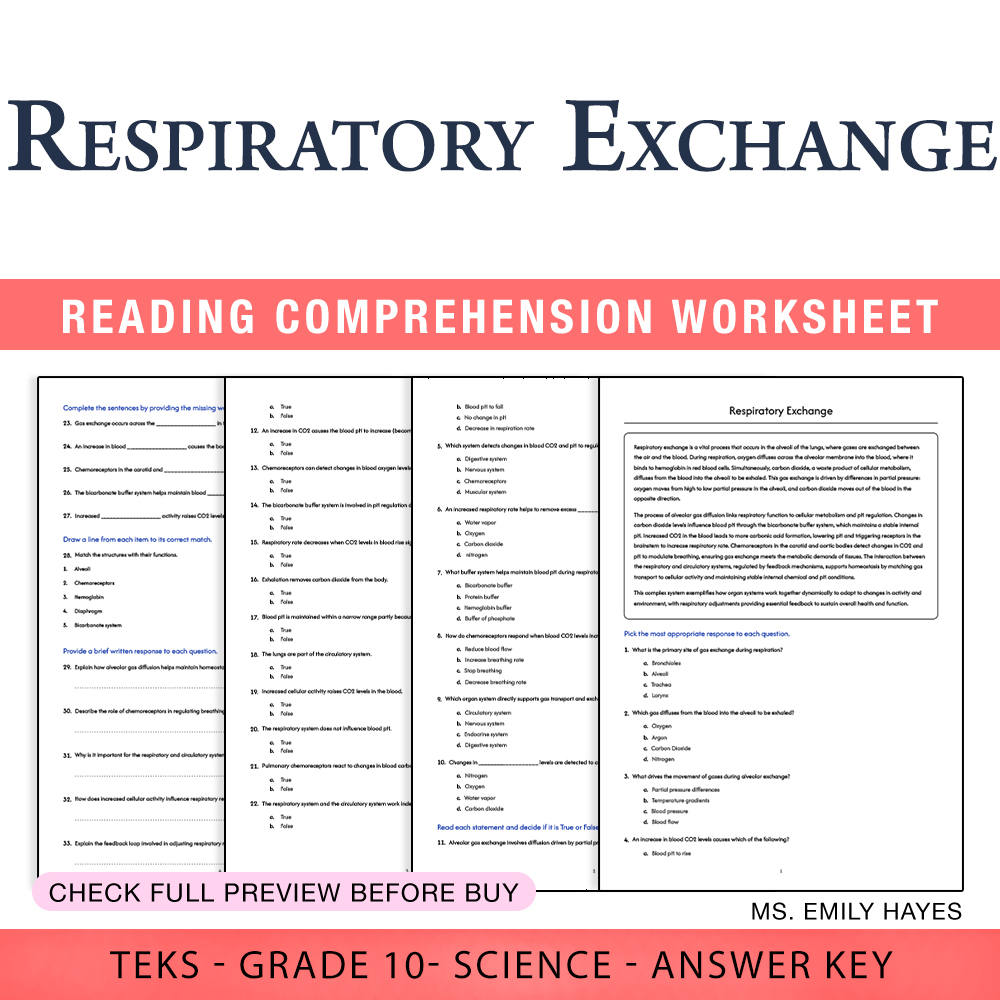 Grade 10 Science worksheet worksheet — 10th Grade Science | Respiratory Exchange Worksheet (PDF+ Answer Key) — page 1