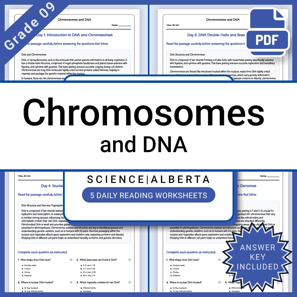 Grade 9 Science Full Year Curriculum Bundle | Genetics, Energy, Physics — included worksheet 42