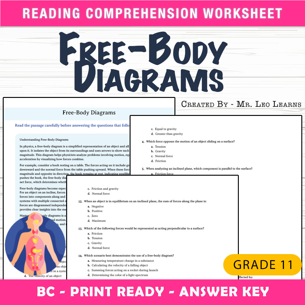 Grade 11 Science worksheet mcq paper worksheet — Grade 11 Science — Worksheet MCQ Paper for Mastering Free-Body Diagrams —…