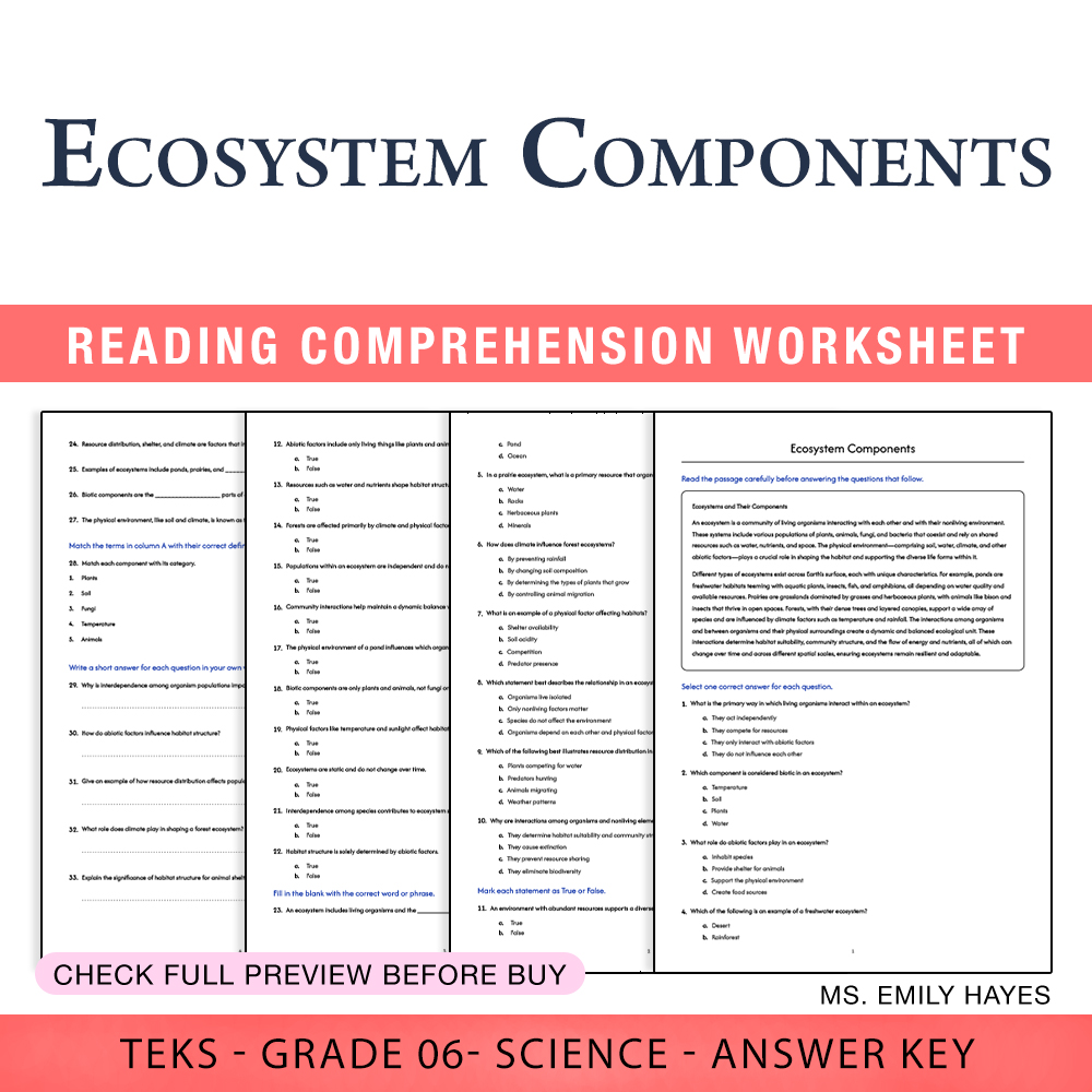 Grade 6 Science worksheet worksheet — 6th Grade Science | Ecosystem Components Worksheet (PDF+ Answer Key) — page 1