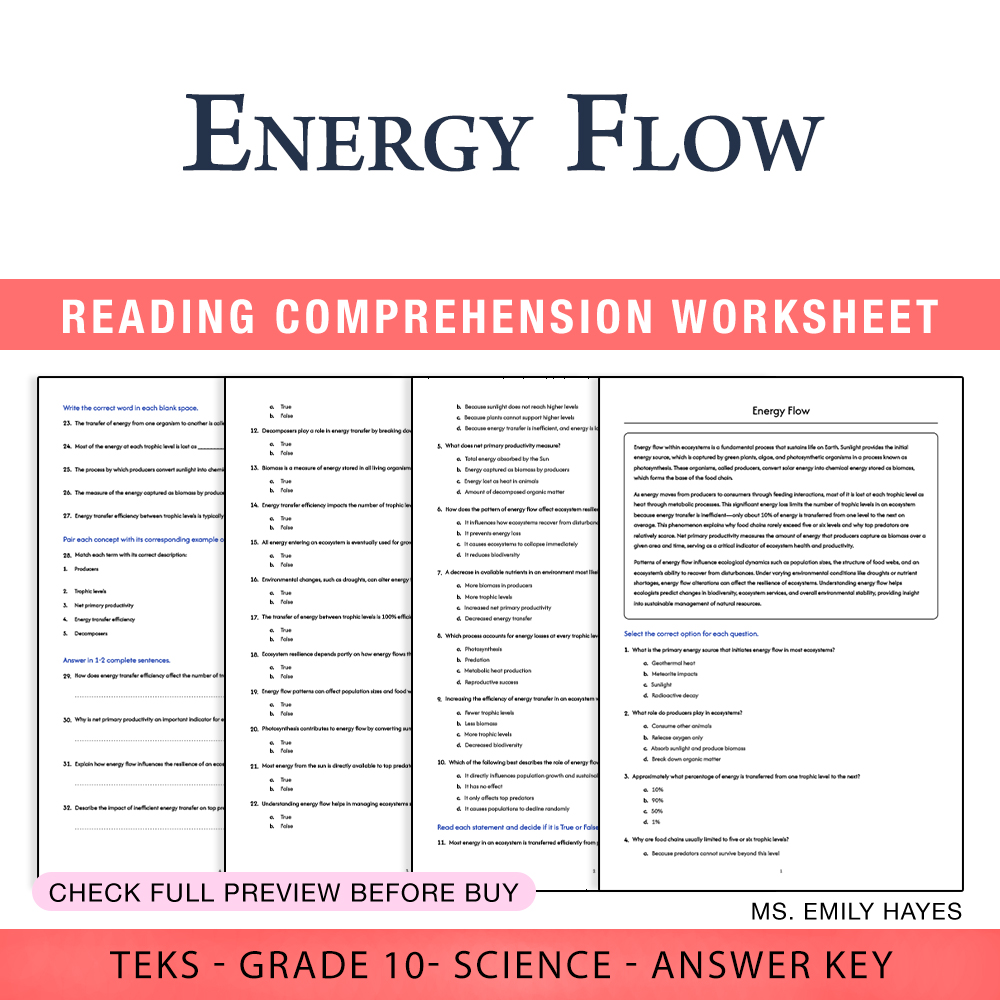Grade 10 Science worksheet worksheet — 10th Grade Science | Energy Flow Worksheet (PDF+ Answer Key) — page 1