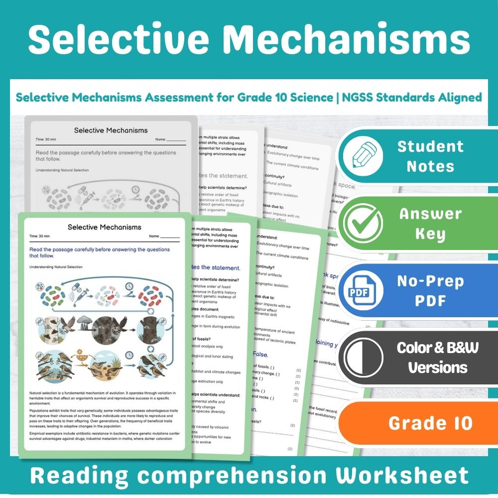 Grade 10 Science Mini Bundle | Evolution & Genetics Assessment (NGSS Aligned) — included worksheet 3