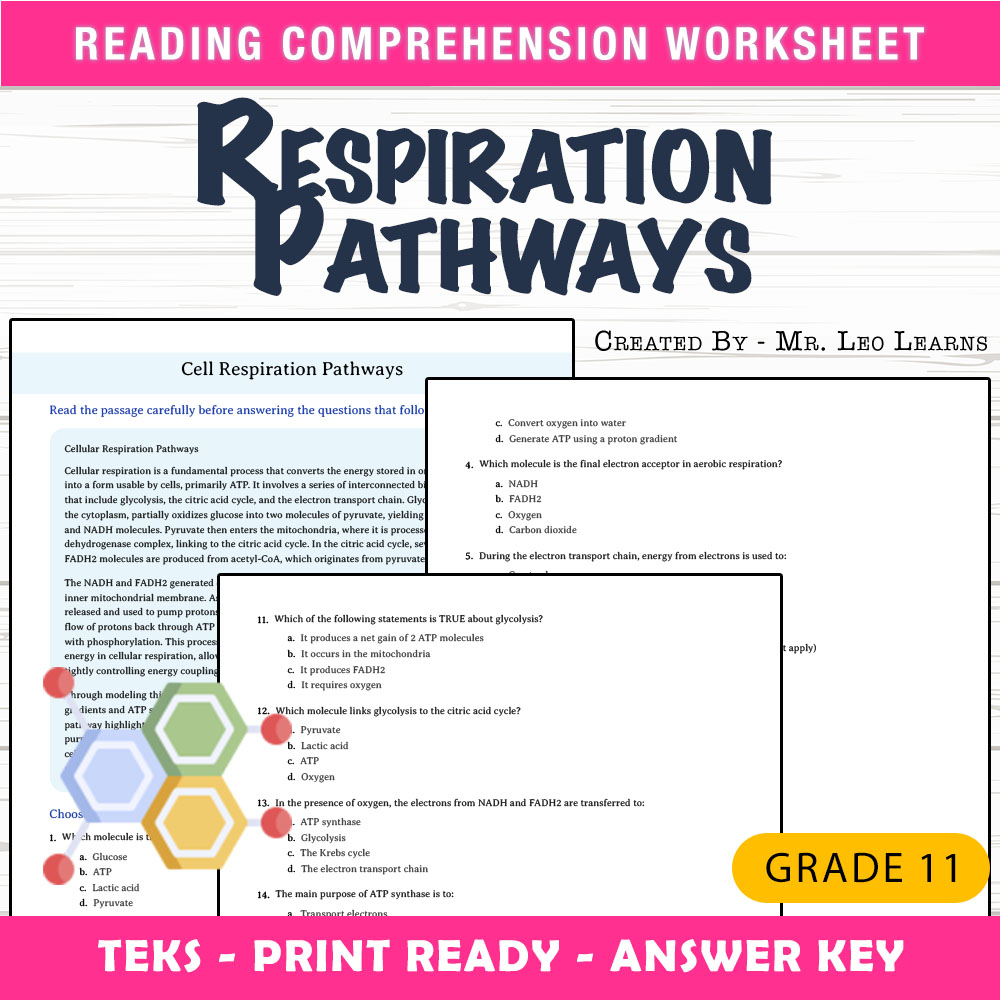 Grade 11 Science worksheet worksheet — Grade 11 Science – Cell Respiration Pathways Worksheet for Mastery — page 1
