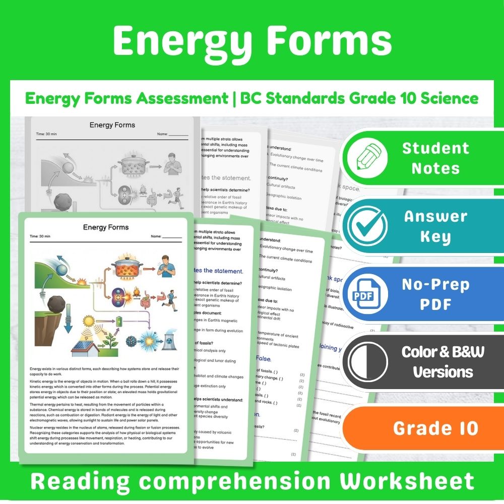 Grade 10 Science | Energy Assessment - BC Standards-Aligned Mini Bundle — included worksheet 12
