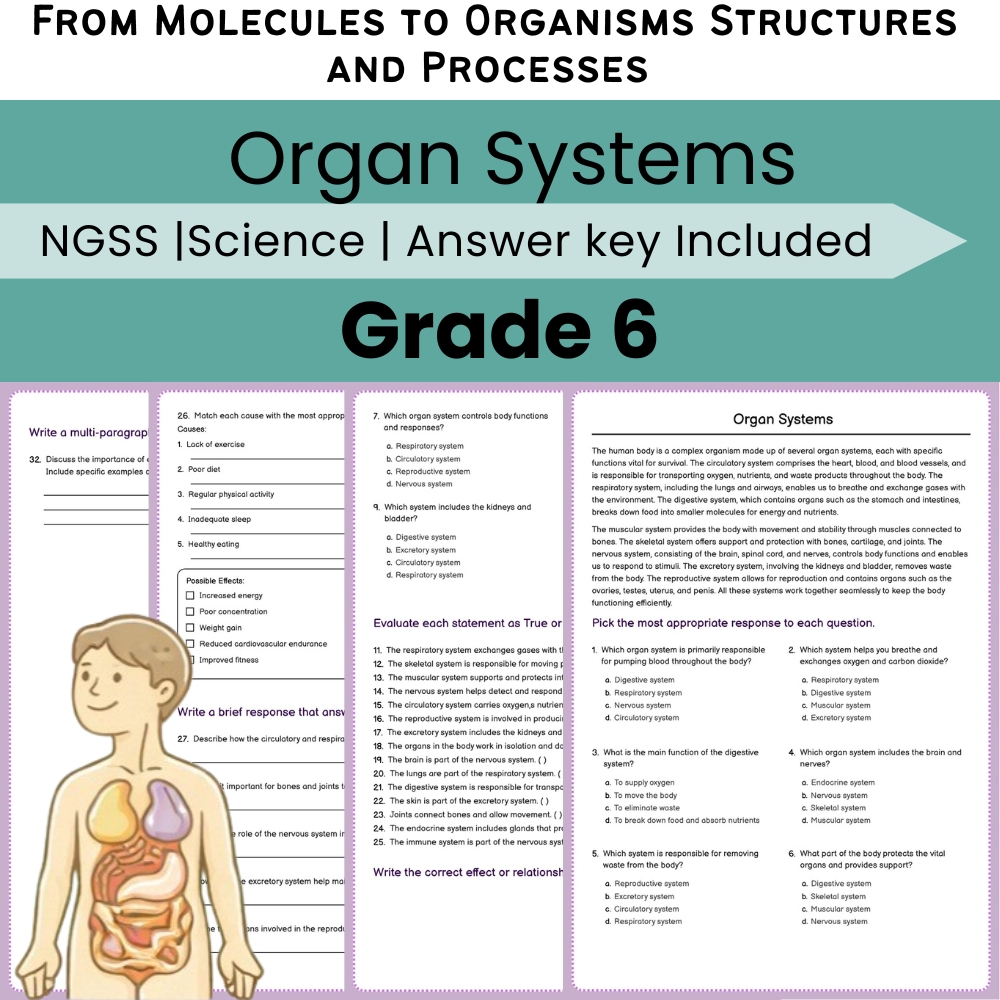 Grade 6 Science NGSS Worksheet Bundle | Comprehensive STEM Practice Pack — included worksheet 36