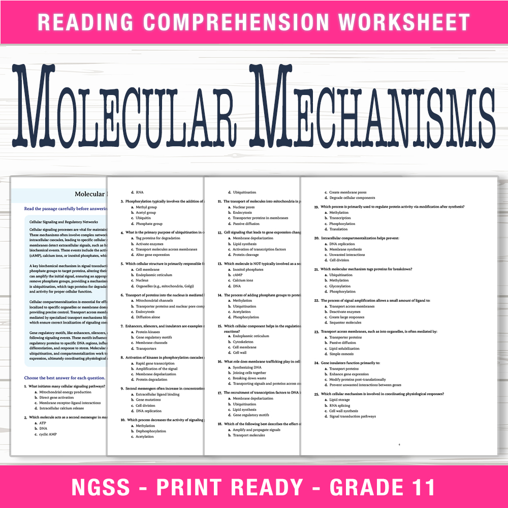 Grade 11 Science worksheet worksheet — Grade 11 Science – Molecular Mechanisms Worksheet (PDF +  Answer Key) — page 1
