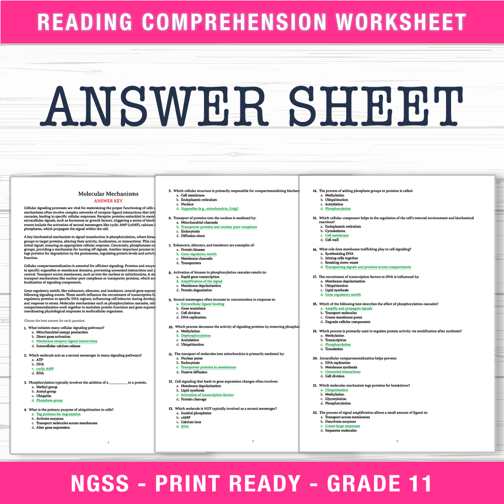 Grade 11 Science worksheet worksheet — Grade 11 Science – Molecular Mechanisms Worksheet (PDF +  Answer Key) — page 2