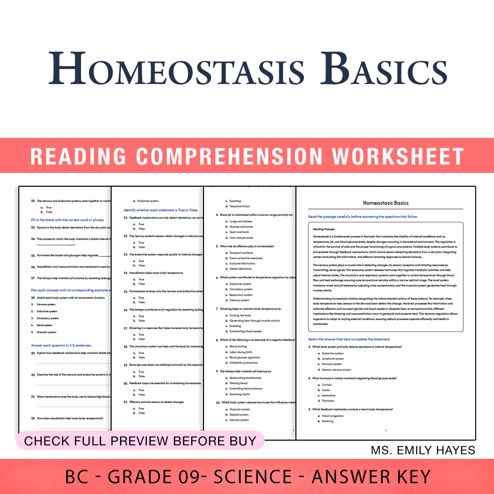 Grade 9 Science worksheet worksheet — 9th Grade Science | Homeostasis Basics Worksheet (PDF+ Answer Key) — page 1