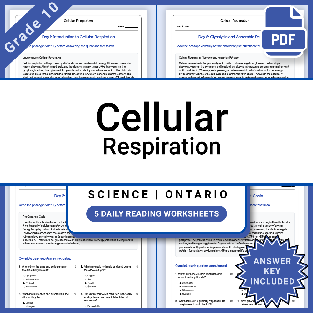 Grade 10 Science Lesson Bundle | Ontario Curriculum and Daily Reading Worksheets — included worksheet 7