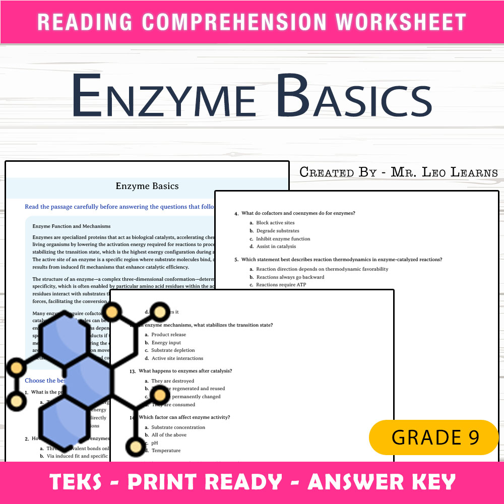 Grade 9 Science worksheet worksheet — Grade 9 Science — Enzyme Basics Worksheet for Mastery — page 1