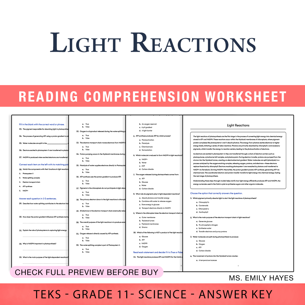 Grade 11 Science worksheet worksheet — 11th Grade Science | Light Reactions Worksheet (PDF+ Answer Key) — page 1