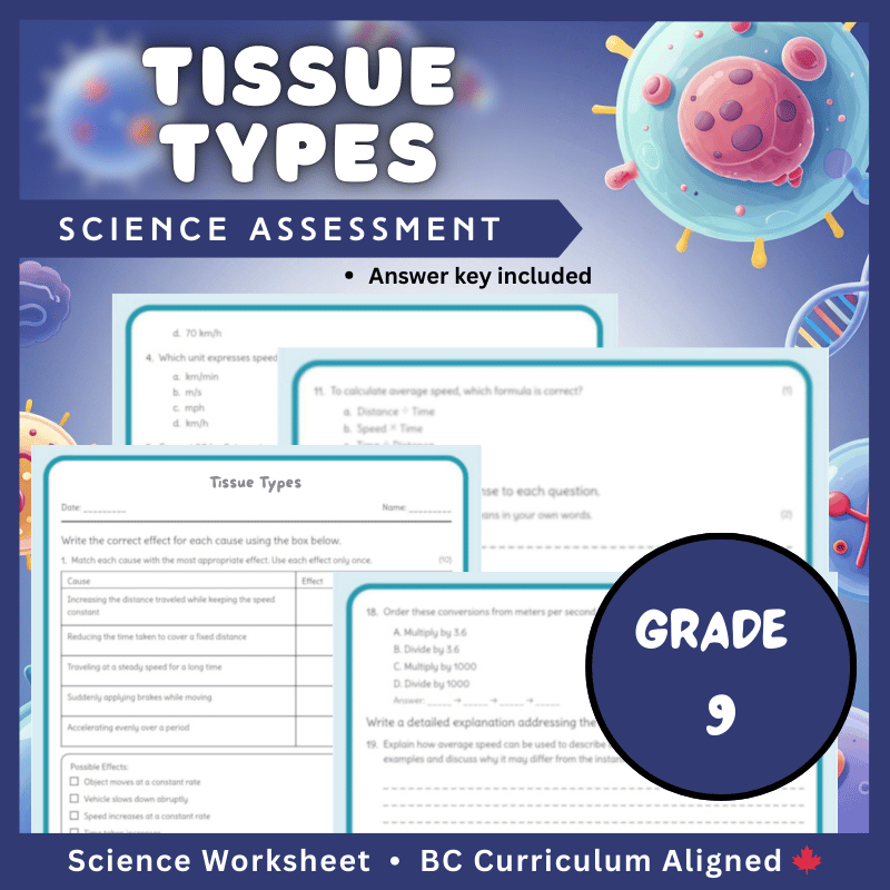 Grade 9 Science | Tissue Types Worksheets (PDF) – BC Standard & Practical
