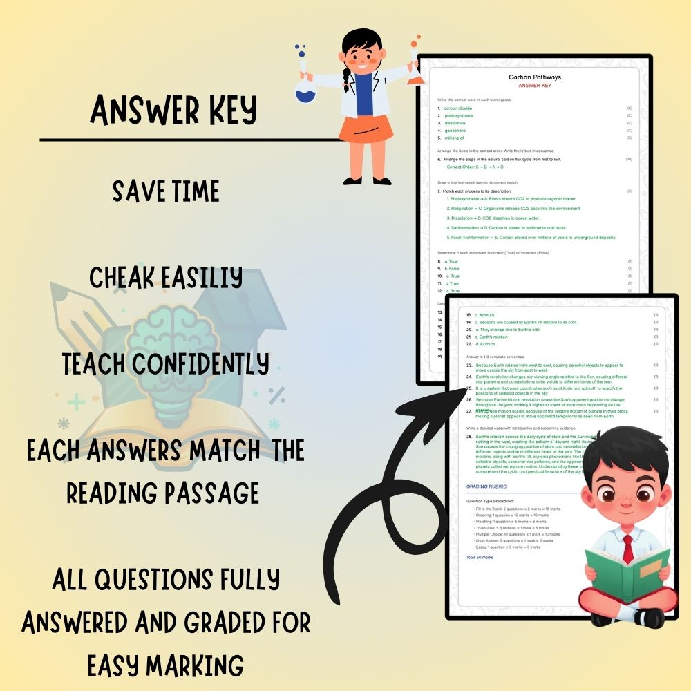 Grade 9 Science worksheet worksheet — Grade 9 Science | Carbon Pathways Worksheet (Worksheet + Answer Key) - Ontario Stand…
