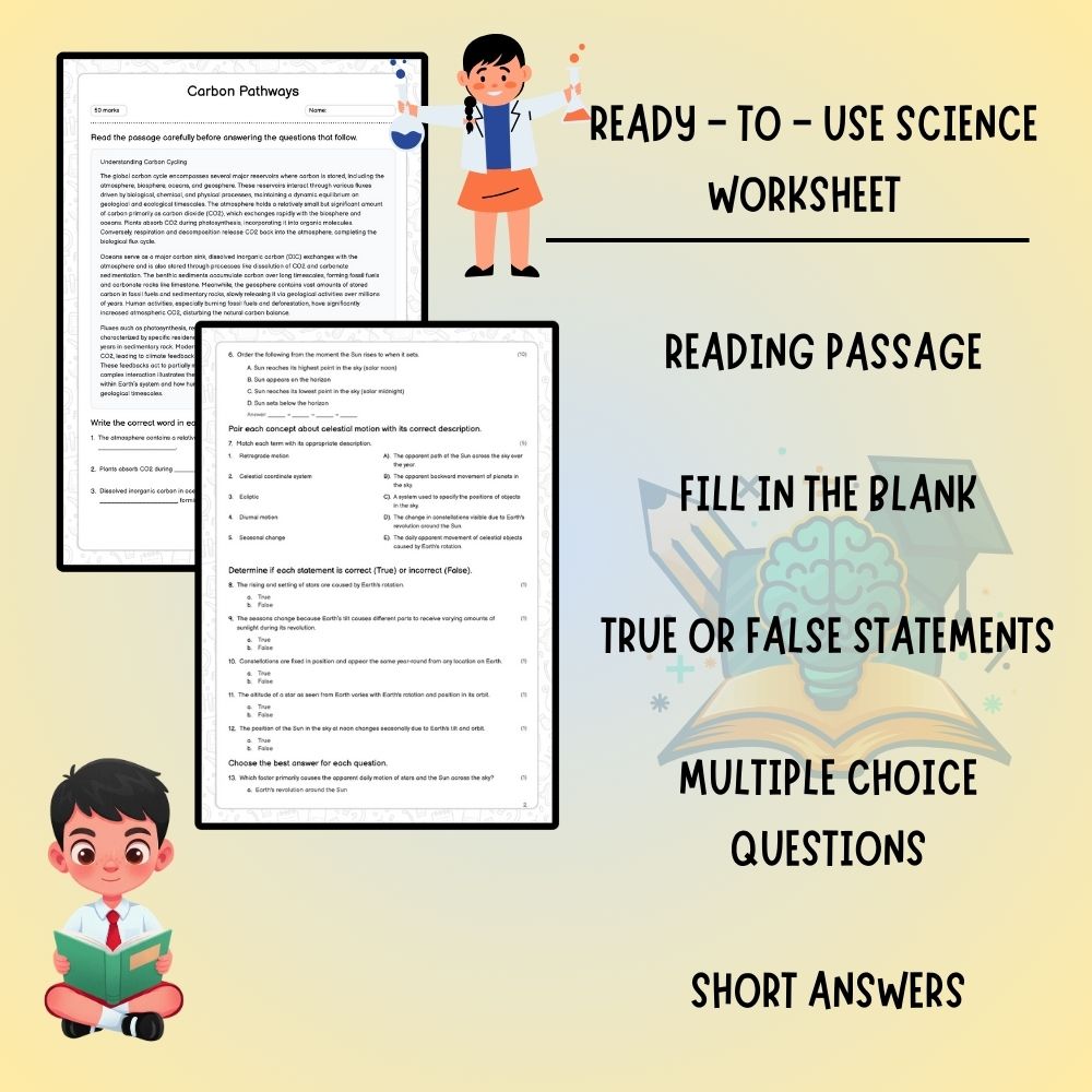Grade 9 Science worksheet worksheet — Grade 9 Science | Carbon Pathways Worksheet (Worksheet + Answer Key) - Ontario Stand…