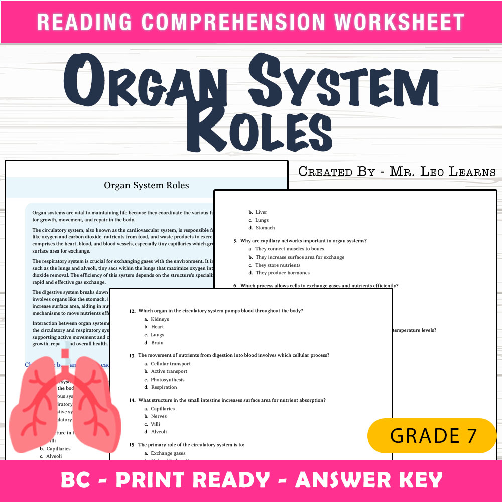 Grade 7 Science worksheet mcq paper worksheet — Grade 7 Science — Organ System Roles Worksheet MCQ Paper — page 1