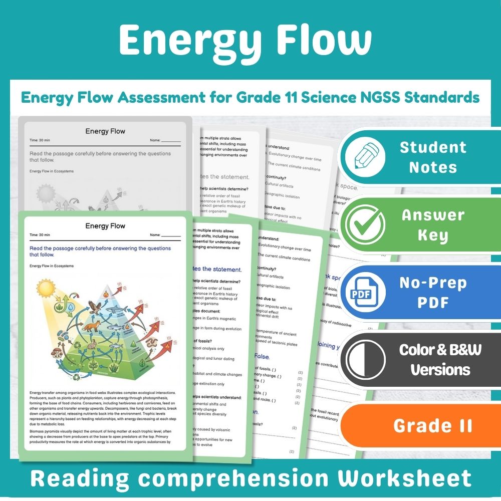 Grade 11 Science assessment worksheet — Energy Flow Assessment for Grade 11 Science NGSS Standards