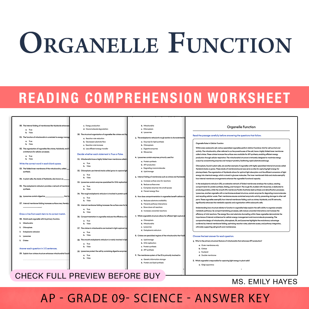 Grade 9 Science worksheet worksheet — 9th Grade Science | Organelle Function Worksheet (PDF+ Answer Key) — page 1