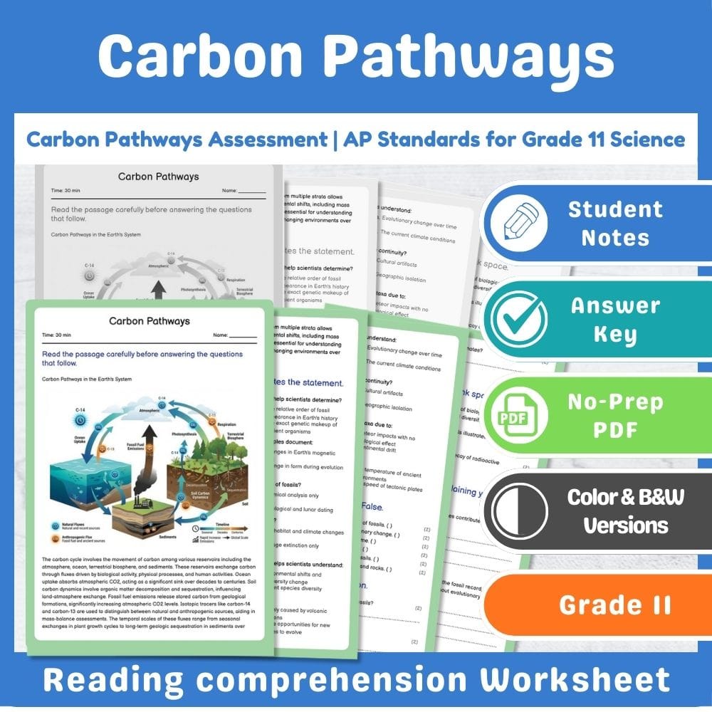 Grade 11 Science assessment worksheet — Carbon Pathways Assessment | AP Standards for Grade 11 Science — page 1