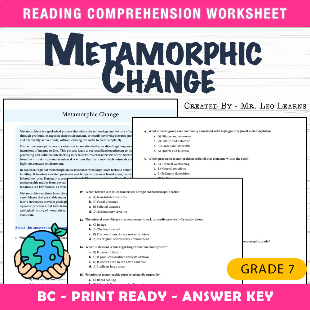 Grade 7 Science worksheet mcq paper worksheet — Grade 7 Science — Metamorphic Change Worksheet MCQ Paper for Mastery — page 1