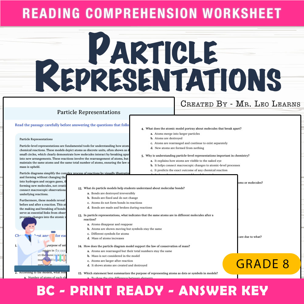 Grade 8 Science worksheet mcq paper worksheet — Grade 8 Science — Particle Representations Worksheet MCQ Paper — page 1