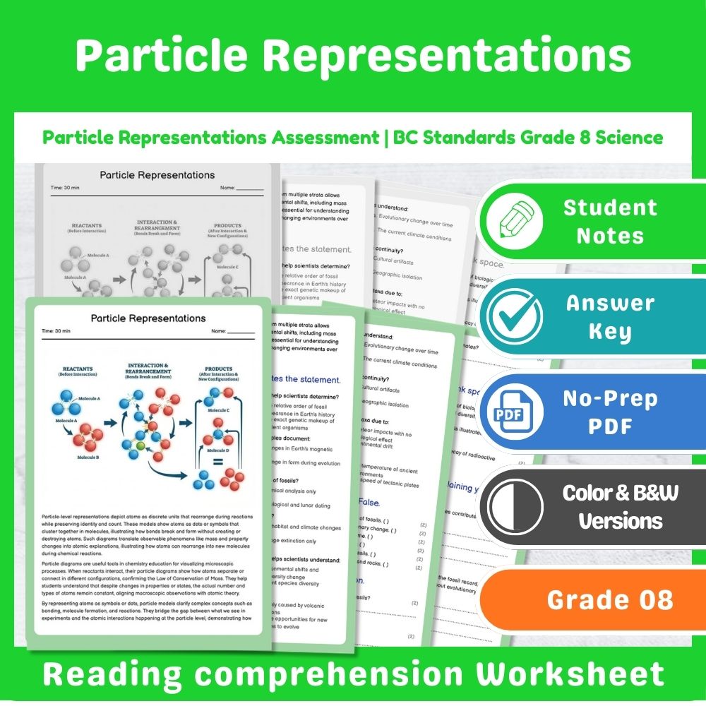 Grade 8 Science Lesson – Reaction Types & Evidence Assessment Bundle — included worksheet 7