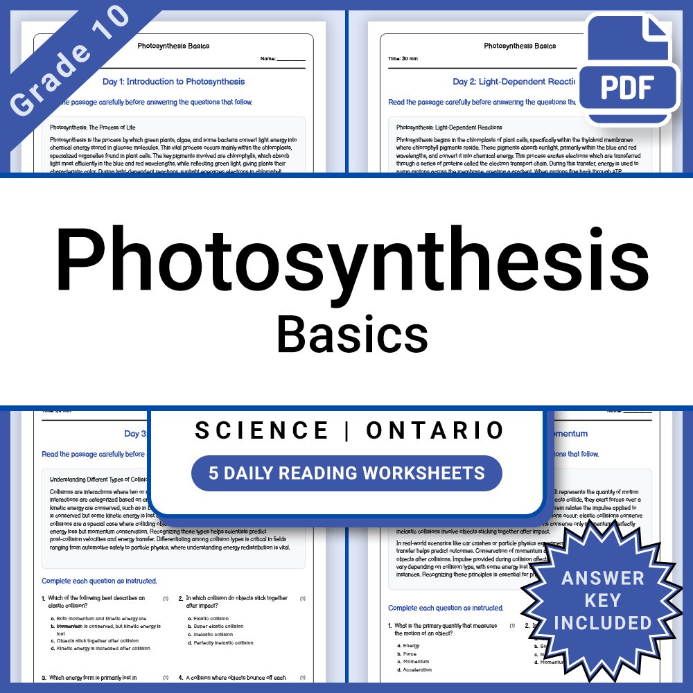 Grade 10 Science Lesson Bundle | Ontario Curriculum and Daily Reading Worksheets — included worksheet 8