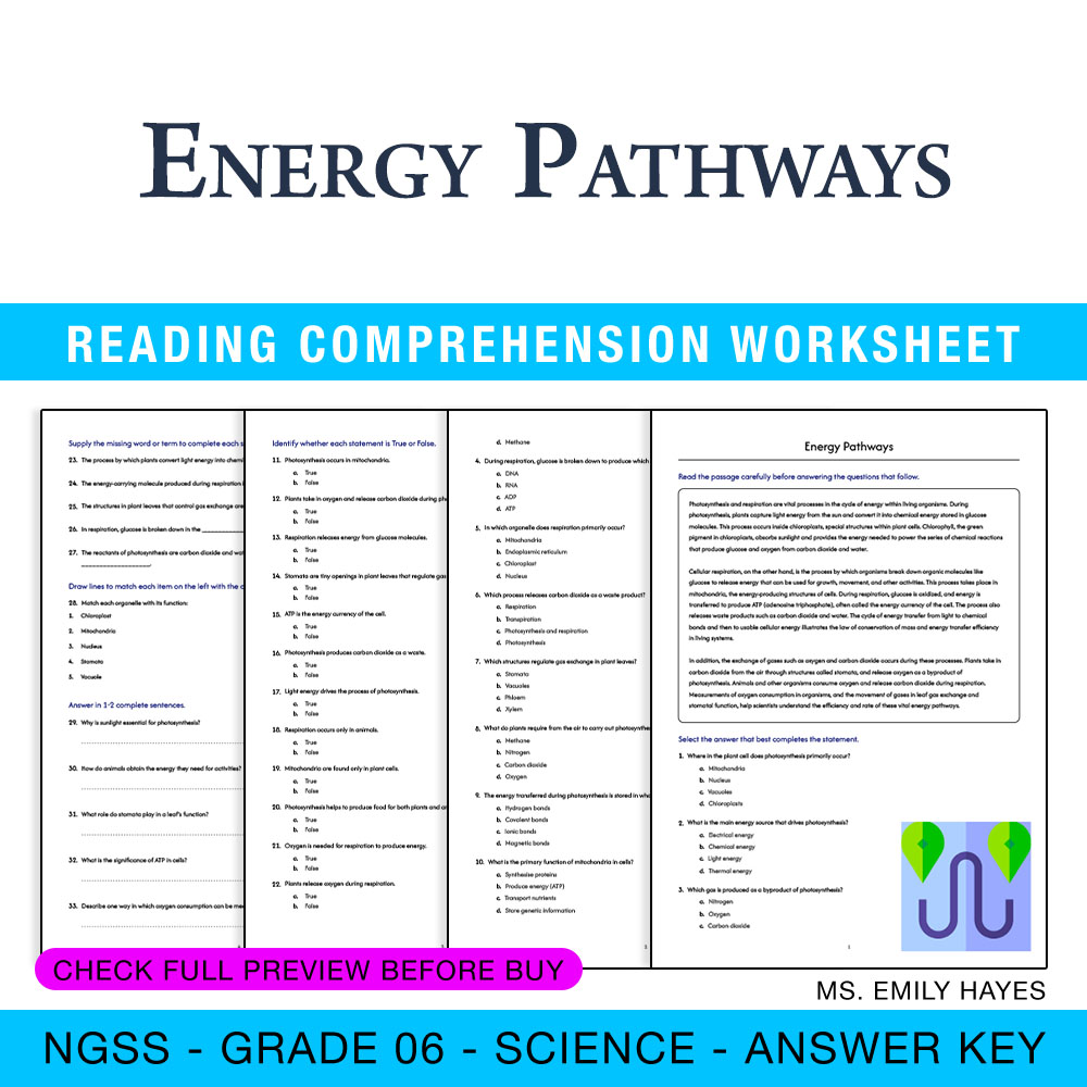 Grade 6 Science worksheet worksheet — 6th Grade Science | Energy Pathways Worksheet (PDF + Answer Key) — page 1