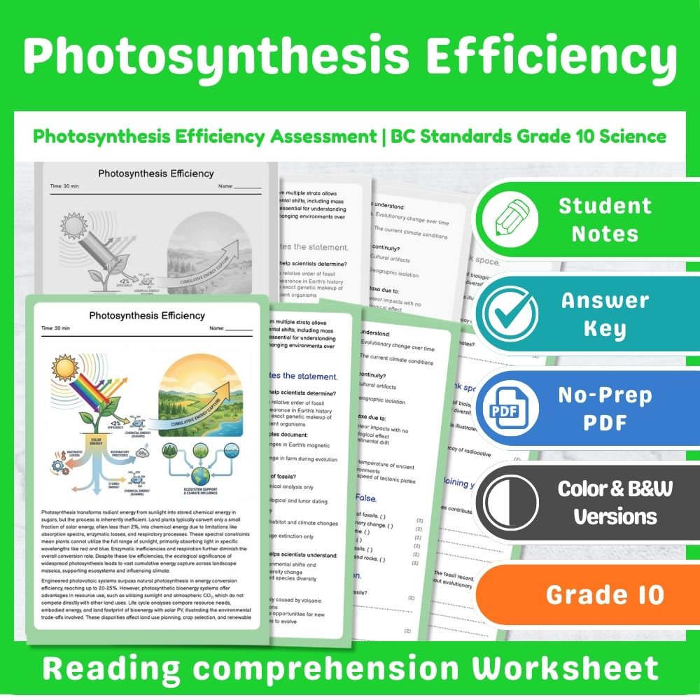 Grade 10 Science | Energy Assessment - BC Standards-Aligned Mini Bundle — included worksheet 13