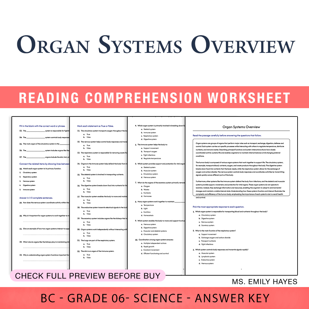 Grade 6 Science worksheet worksheet — 6th Grade Science | Organ Systems Overview Worksheet (PDF+ Answer Key) — page 1