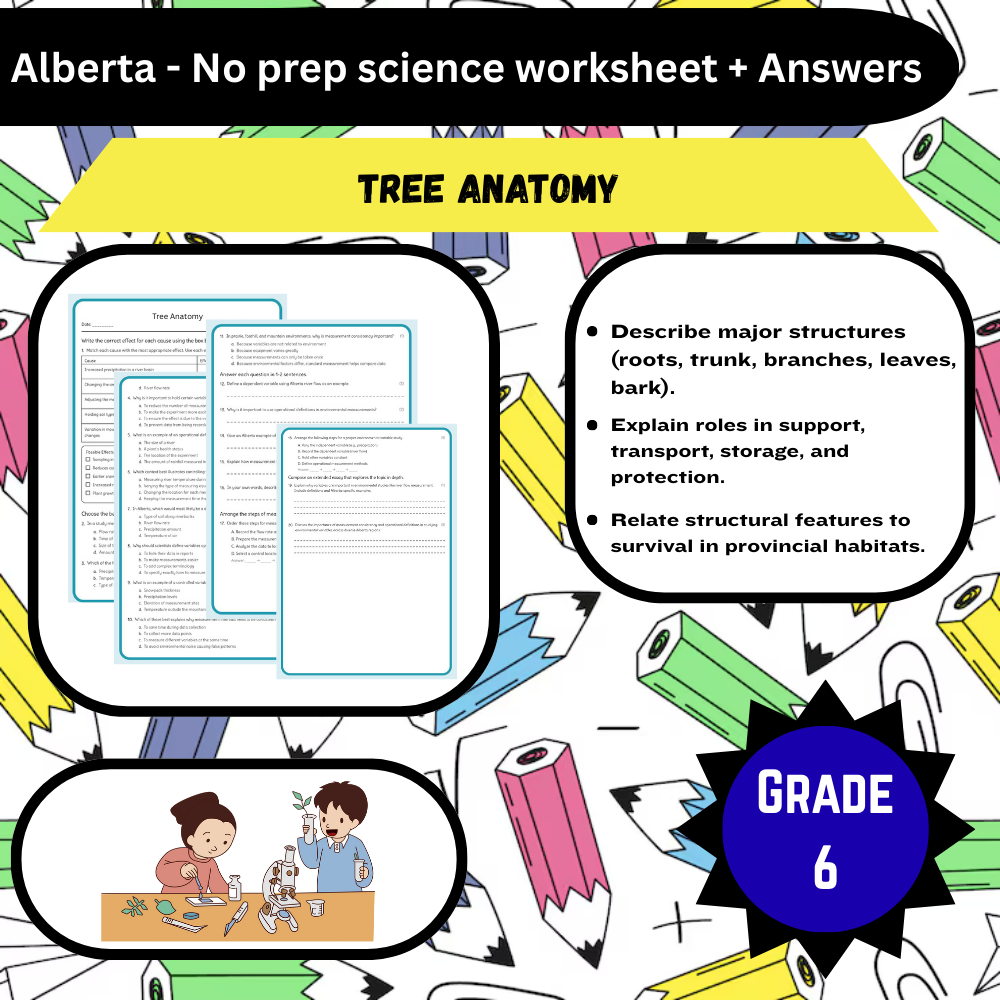 6th Grade Science | Tree Anatomy Worksheet (PDF) – Alberta Standards