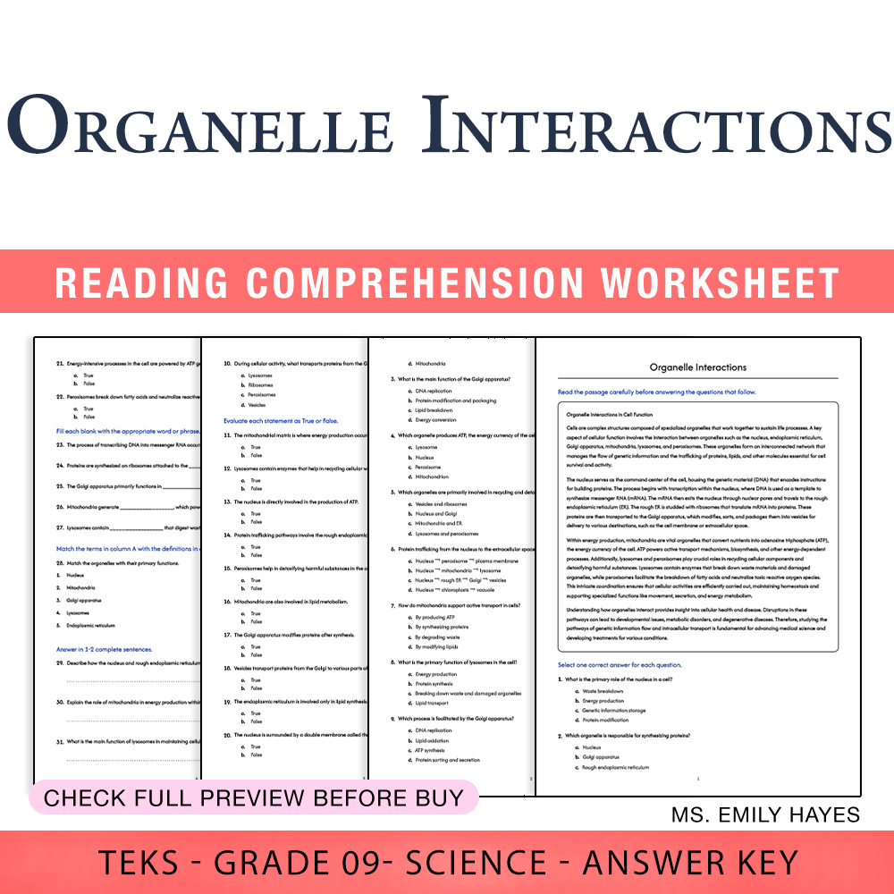 Grade 9 Science worksheet worksheet — 9th Grade Science | Organelle Interactions Worksheet (PDF+ Answer Key) — page 1