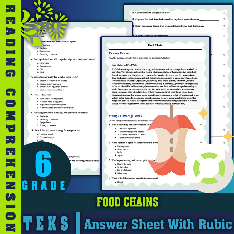Grade 6 Science reading worksheets worksheet — 6th Grade Science | Food Chains Reading Worksheet with Answer Key (PDF) — p…