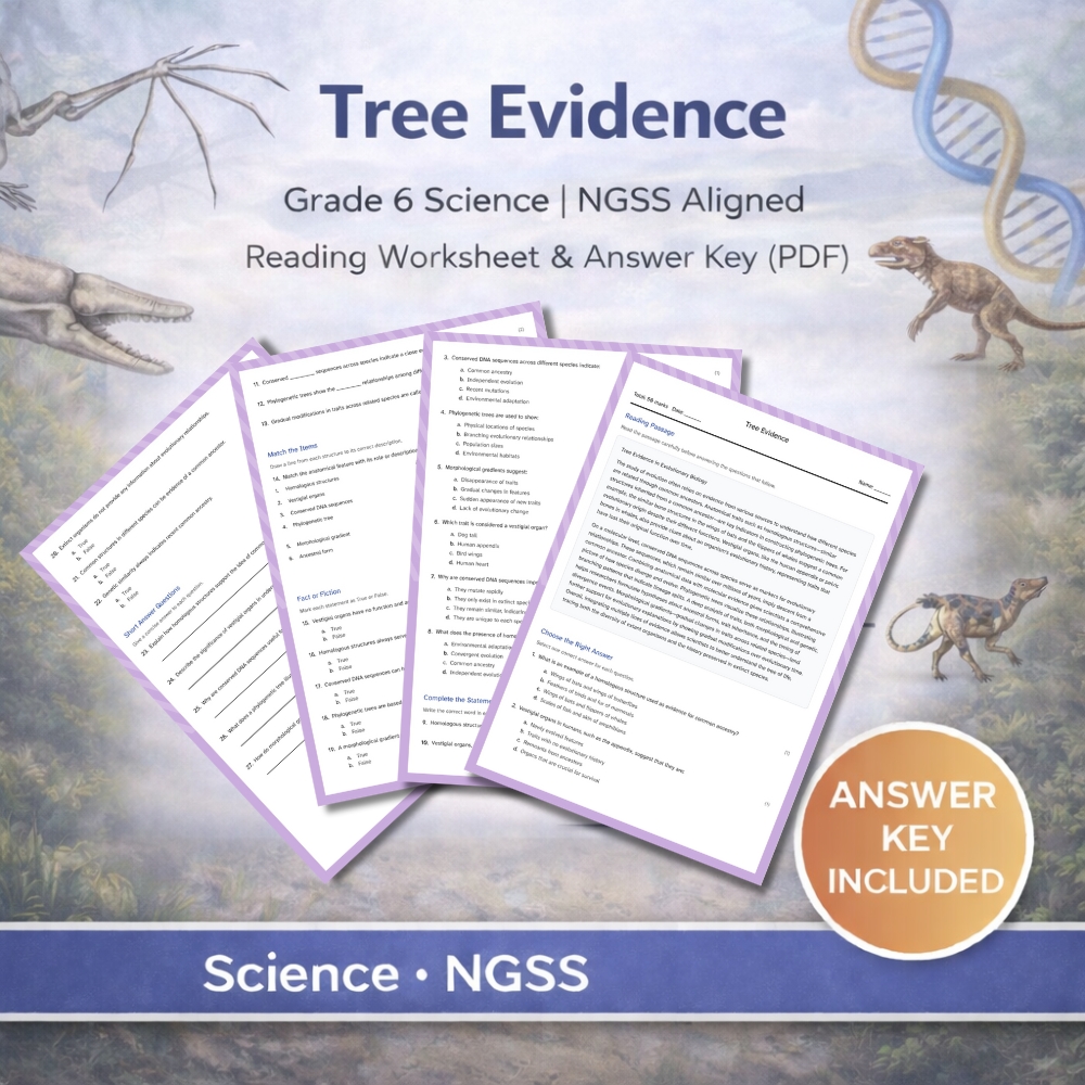 Grade 6 Science | Ecosystems, Evolution & Biodiversity | NGSS Worksheet Bundle — included worksheet 4