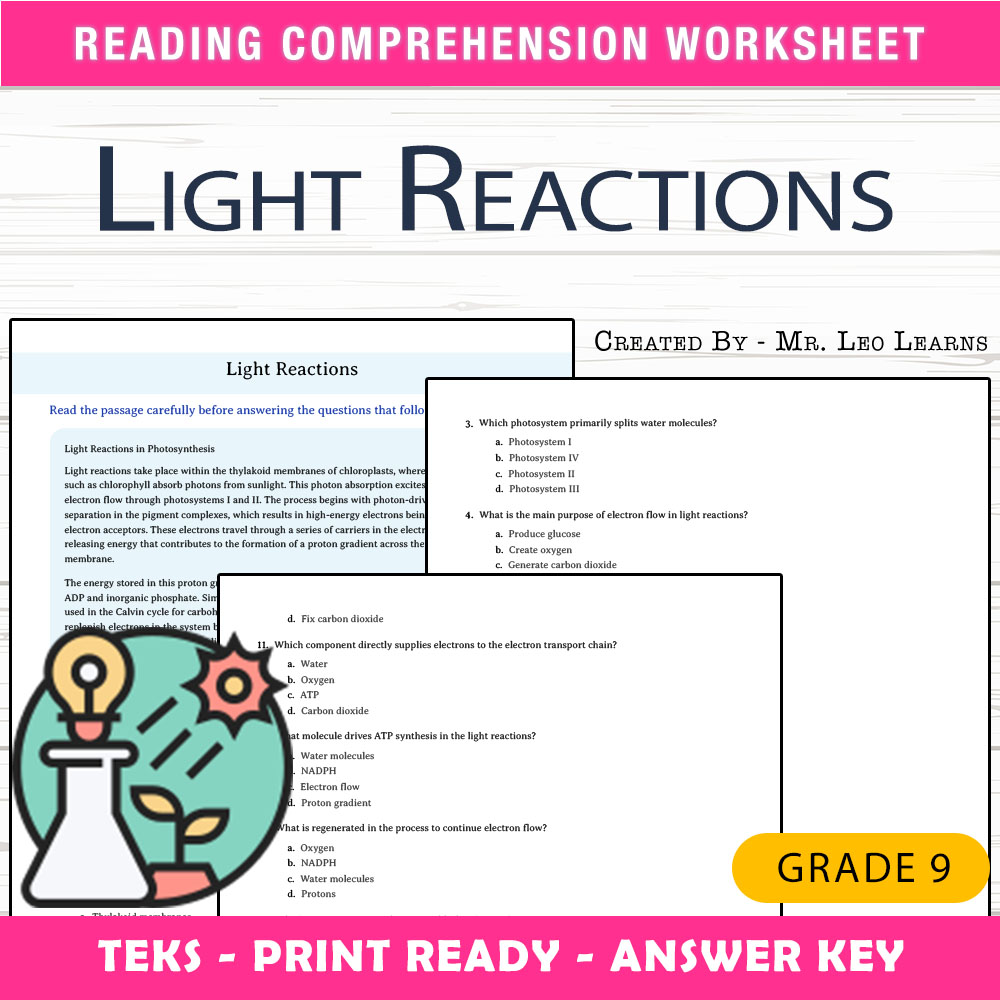 Grade 9 Science worksheet worksheet — Grade 9 Science — Light Reactions Worksheet for Mastering Photosynthesis — page 1
