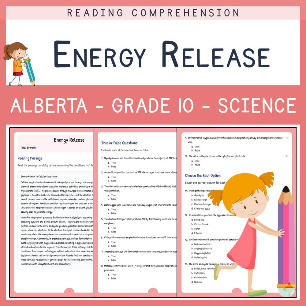 Grade 10 Science worksheet elena worksheet — Grade 10 Science | Energy Release Worksheet | Alberta Standards — page 1