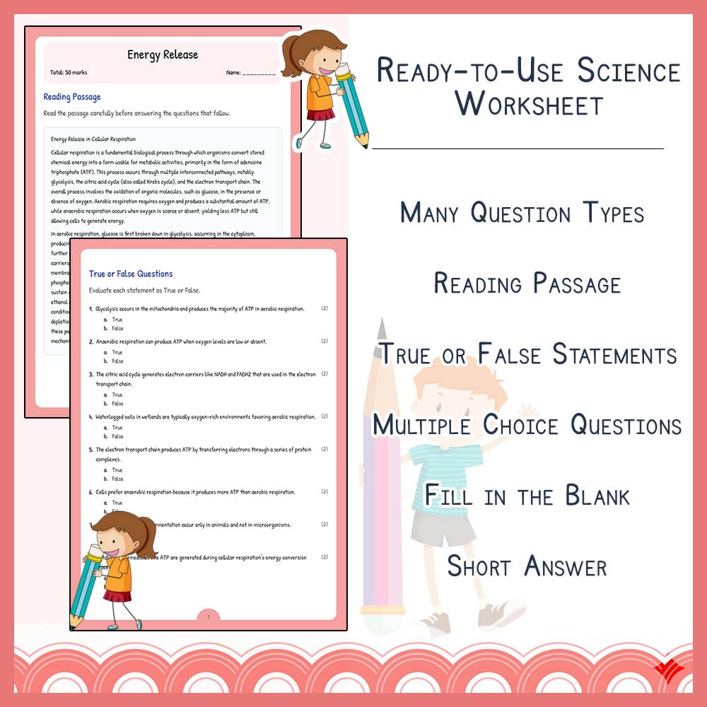 Grade 10 Science worksheet elena worksheet — Grade 10 Science | Energy Release Worksheet | Alberta Standards — page 2
