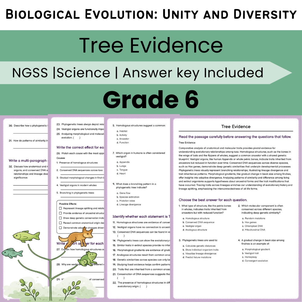 Grade 6 Science NGSS Worksheet Bundle | Comprehensive STEM Practice Pack — included worksheet 38