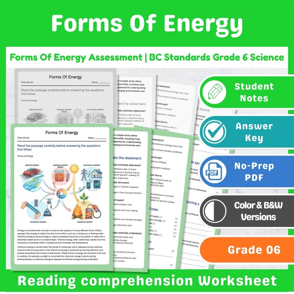 Grade 6 Science Assessment | Wave Interactions & Light Physics Mini Bundle — included worksheet 12