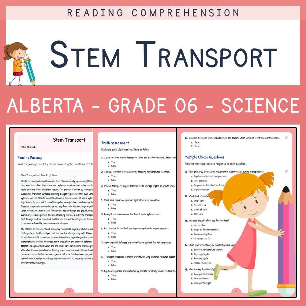 Grade 6 Science worksheet elena worksheet — Grade 6 Science Assessment | Stem Transport Worksheet | Alberta Standard — page 1