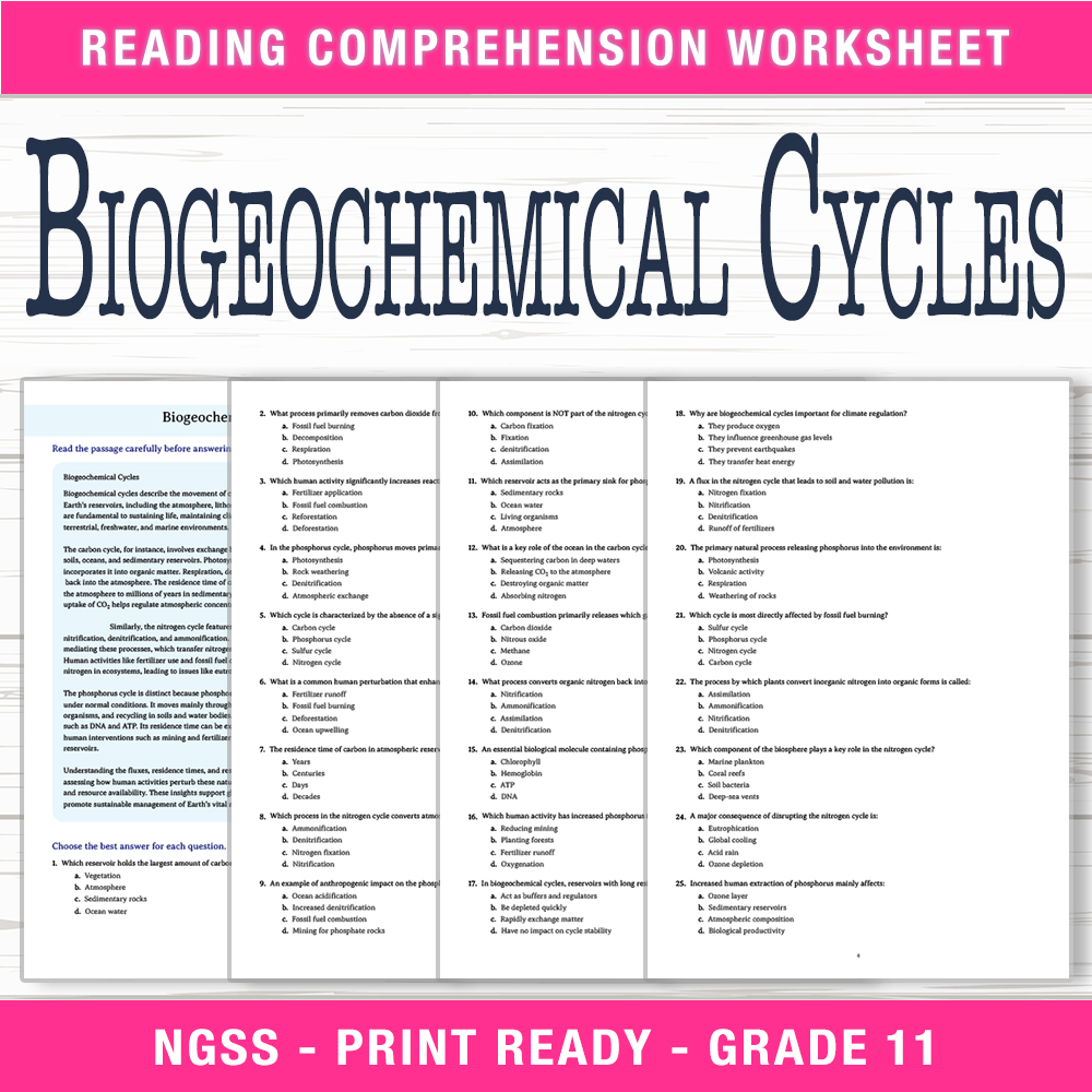 Grade 11 Science worksheet worksheet — Grade 11 Science | Biogeochemical Cycles Worksheet (PDF + Answer Key) — page 1