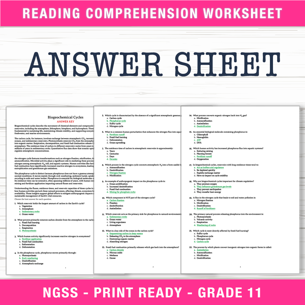 Grade 11 Science worksheet worksheet — Grade 11 Science | Biogeochemical Cycles Worksheet (PDF + Answer Key) — page 2