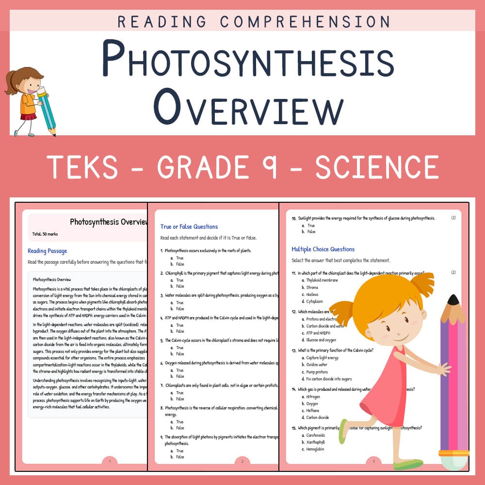 Grade 9 Science worksheet elena worksheet — Grade 9 Science | Photosynthesis Overview Worksheet | TEKS Aligned — page 1