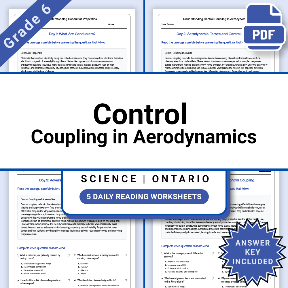 Grade 6 Science Flight Lesson Bundle | Ontario Framework — included worksheet 10