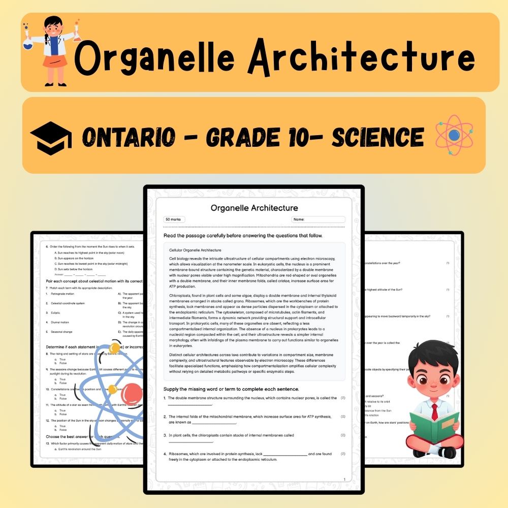 Grade 10 Science worksheet worksheet — Grade 10 Science | Organelle Architecture Worksheet (Answer Key) - Ontario Standard…