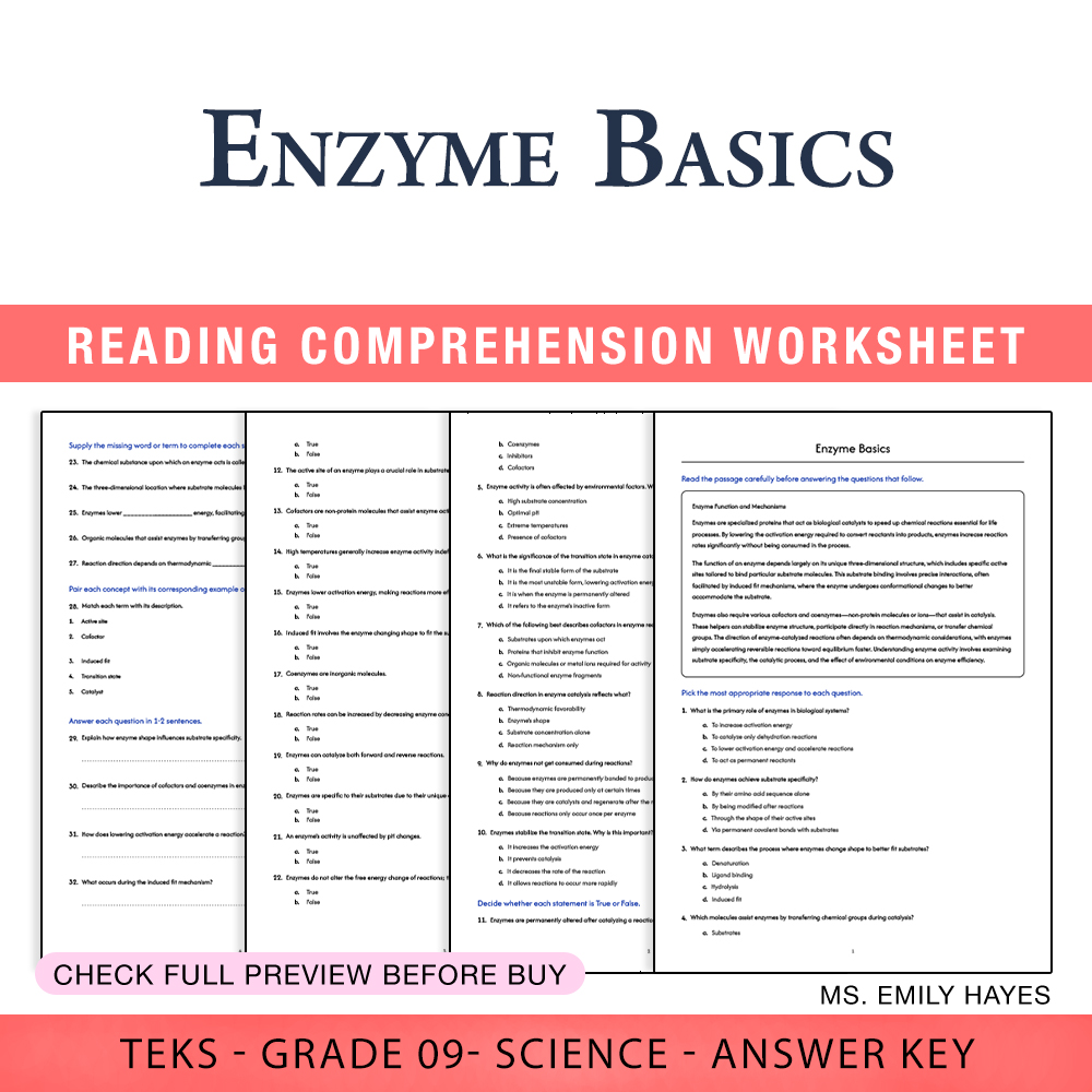 Grade 9 Science worksheet worksheet — 9th Grade Science | Enzyme Basics Worksheet (PDF+ Answer Key) — page 1