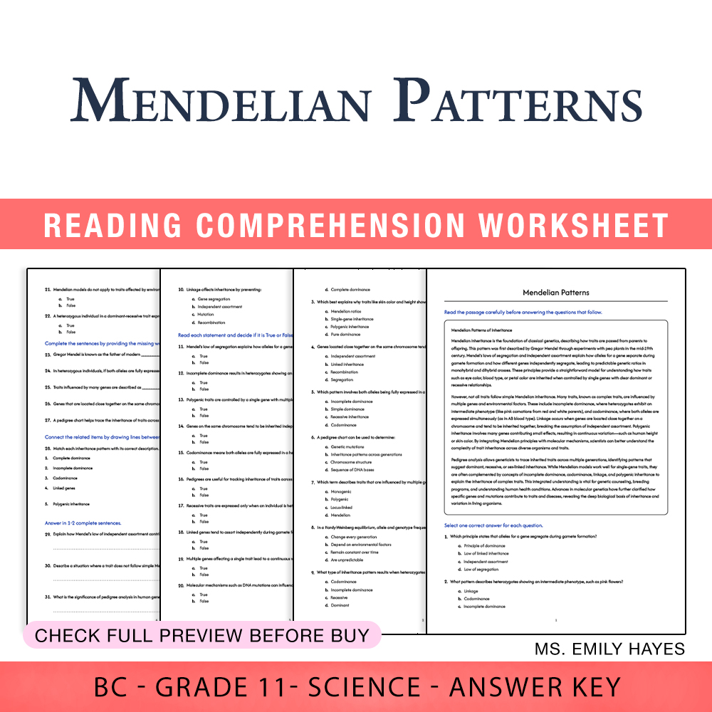 Grade 11 Science worksheet worksheet — 11th Grade Science | Mendelian Patterns Worksheet (PDF + Answer Key) — page 1