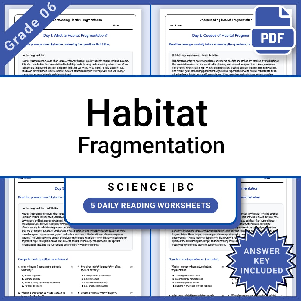 Grade 6 Science Lesson Group Bundle on Ecosystems and Ecology — included worksheet 11
