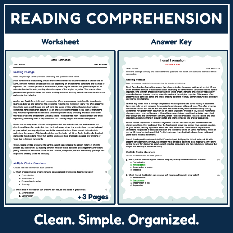 Science reading worksheets worksheet — 7th Grade Science | Fossil Formation Reading Worksheets — page 2