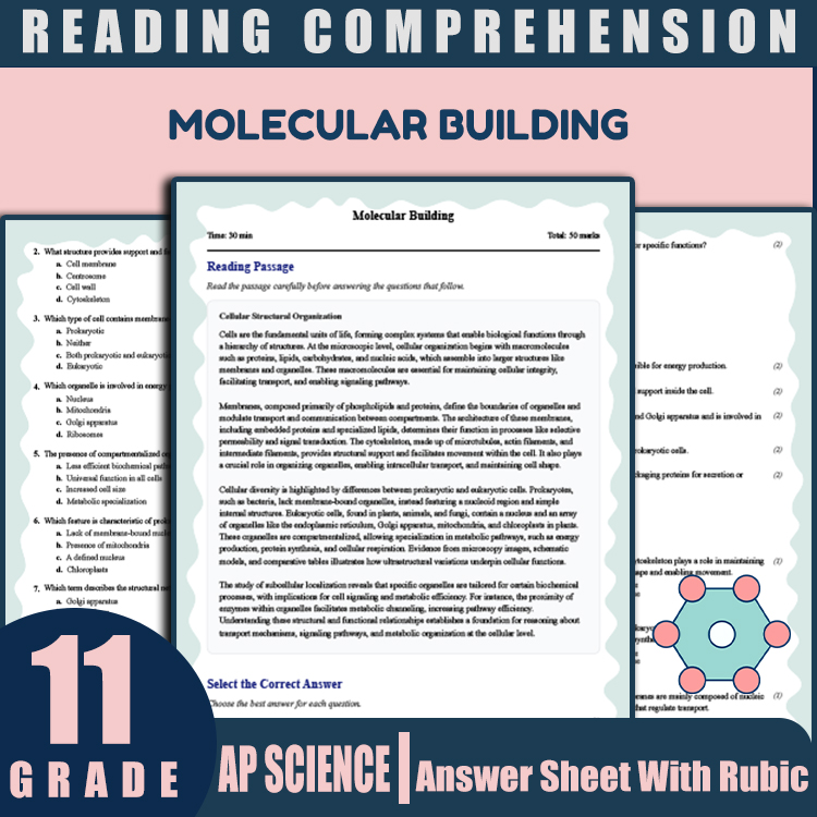 Grade 11 Science reading worksheets worksheet — 11th Grade Science | Molecular Building Reading Worksheet & Answer Key (PD…