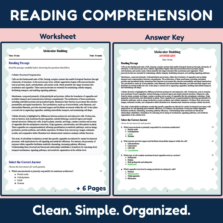 Grade 11 Science reading worksheets worksheet — 11th Grade Science | Molecular Building Reading Worksheet & Answer Key (PD…